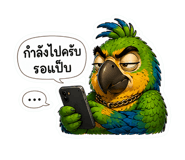 842556482