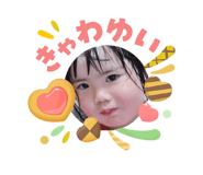 842556633
