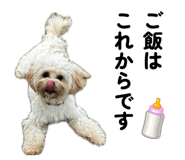 842556917