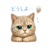 842557083