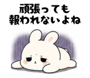 842557235