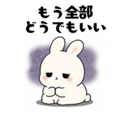 842557244