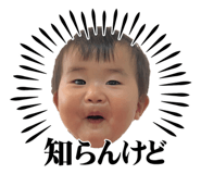 842557457