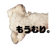 842557611