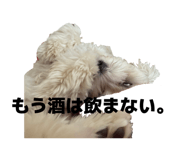 842557612