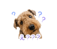 842557847
