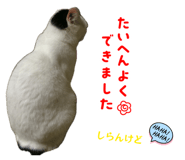 842557957