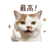842558221