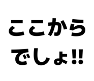 842558344