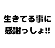 842558375