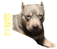 842558436
