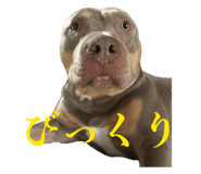 842558440