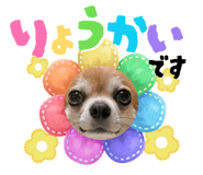 842558529