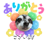 842558530