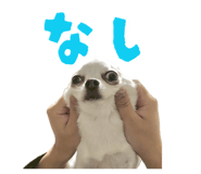 842558538