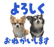 842558541