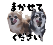 842558542