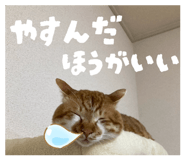 842558544