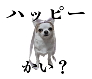 842558545