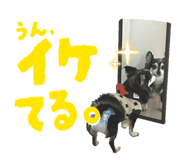 842558562