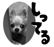 842558566