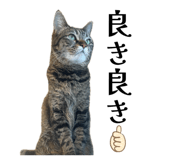 842558878