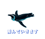 842559094