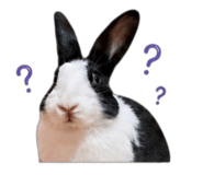 842564759