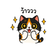 842565017