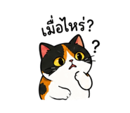 842565024