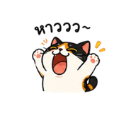 842565048