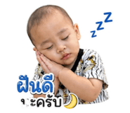842565333