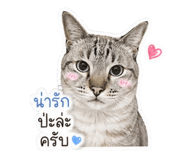 842565687