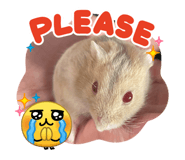 842565917