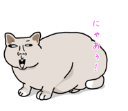 842566067