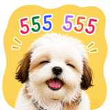 842566146