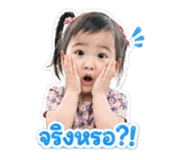 842566512