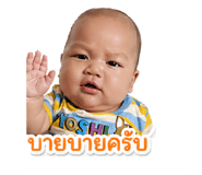 842566613