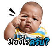 842566631