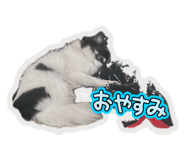 842567459