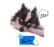 842567462