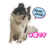 842567464