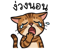 842568676
