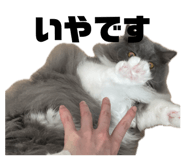 842568794