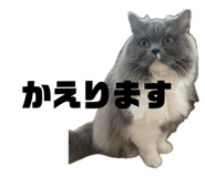 842568798