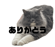 842568799