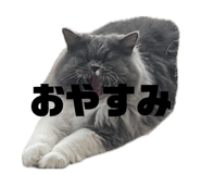 842568800