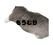 842568801