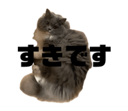 842568805