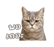 842568865